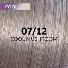 Cargar imagen en el visor de la galería, Wella Shinefinity Perfect Cool Tinte 60ml