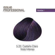 Cargar imagen en el visor de la galería, Tinte Issue Professional Color 70g