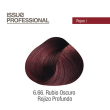 Cargar imagen en el visor de la galería, Tinte Issue Professional Color 70g