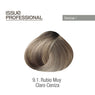 Tinte Issue Professional Color 70g