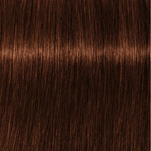 Cargar imagen en el visor de la galería, Schwarzkopf Igora Royal Absolutes Tinte 60ml