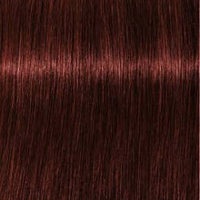 Cargar imagen en el visor de la galería, Schwarzkopf Igora Royal Absolutes Tinte 60ml