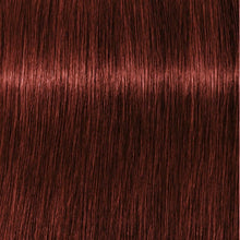 Cargar imagen en el visor de la galería, Schwarzkopf Igora Royal Absolutes Tinte 60ml