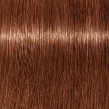 Cargar imagen en el visor de la galería, Schwarzkopf Igora Royal Absolutes Tinte 60ml