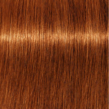 Cargar imagen en el visor de la galería, Schwarzkopf Igora Royal Absolutes Tinte 60ml