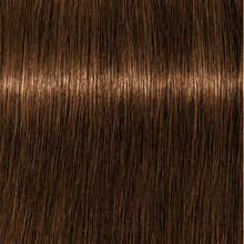 Cargar imagen en el visor de la galería, Schwarzkopf Igora Royal Absolutes Tinte 60ml