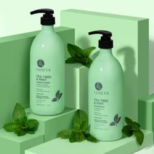 Cargar imagen en el visor de la galería, Tea Tree & Mint Shampoo 16.9oz