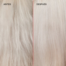 Cargar imagen en el visor de la galería, Salon Intro Kit