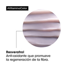 Cargar imagen en el visor de la galería, Mascarilla Serie Expert Vitamino Color 250ml