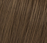 Color Perfect Rich Naturals 60ml