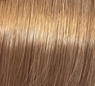 Color Perfect Rich Naturals 60ml