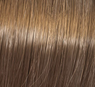 Color Perfect Rich Naturals 60ml