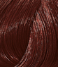 Color Touch Vibrant Reds 60ml
