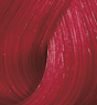 Color Touch Vibrant Reds 60ml