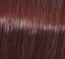 Color Perfect Vibrant Reds 60ml