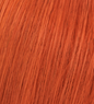 Color Perfect Special Mix 60ml
