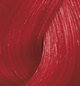 Color Perfect Special Mix 60ml