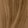 SoColor Pre-Bonded Permanent 85g