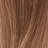 SoColor Pre-Bonded Permanent 85g