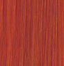 Tinte Color Wear 60ml