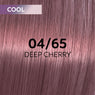 Wella Shinefinity Perfect Cool Tinte 60ml