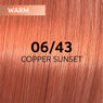 Wella Shinefinity Perfect Warm Tinte 60ml