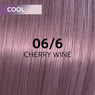 Wella Shinefinity Perfect Cool Tinte 60ml