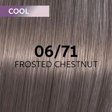 Cargar imagen en el visor de la galería, Wella Shinefinity Perfect Cool Tinte 60ml
