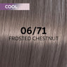 Wella Shinefinity Perfect Cool Tinte 60ml