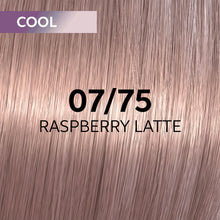 Cargar imagen en el visor de la galería, Wella Shinefinity Perfect Cool Tinte 60ml
