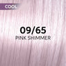 Wella Shinefinity Perfect Cool Tinte 60ml