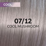 Wella Shinefinity Perfect Cool Tinte 60ml