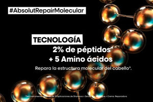 Shampoo Serie Expert Absolut Repair Molecular 300ml