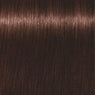 Schwarzkopf Igora Royal Absolutes Tinte 60ml