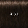 Schwarzkopf Igora Royal Absolutes Tinte 60ml
