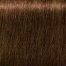 Schwarzkopf Igora Royal Absolutes Básicos 60ml