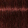 Schwarzkopf Igora Royal Absolutes Tinte 60ml