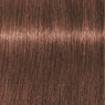 Schwarzkopf Igora Royal Absolutes Tinte 60ml