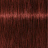 Schwarzkopf Igora Royal Absolutes Tinte 60ml