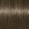 Schwarzkopf Igora Royale Cenizos Frios Tinte 60ml