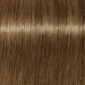 Schwarzkopf Igora Royal Absolutes Tinte 60ml