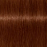 Schwarzkopf Igora Royal Absolutes Tinte 60ml