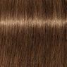 Schwarzkopf Igora Royal Absolutes Básicos 60ml
