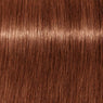 Schwarzkopf Igora Royal Absolutes Tinte 60ml