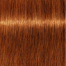 Schwarzkopf Igora Royal Absolutes Tinte 60ml