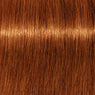 Schwarzkopf Igora Royal Absolutes Básicos 60ml