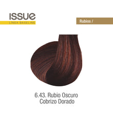 Cargar imagen en el visor de la galería, Tinte Issue Professional Color 70g
