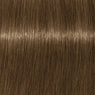 Schwarzkopf Igora Royale Cenizos Frios Tinte 60ml