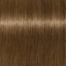 Schwarzkopf Igora Royal Absolutes Básicos 60ml