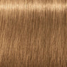 Schwarzkopf Igora Royal Absolutes Básicos 60ml